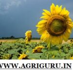 General Agriculture For Competitive Exams Like IBPS AFO,NABARD,RRB SO,UPSC