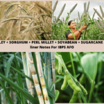 One-liner Notes For IBPS AFO