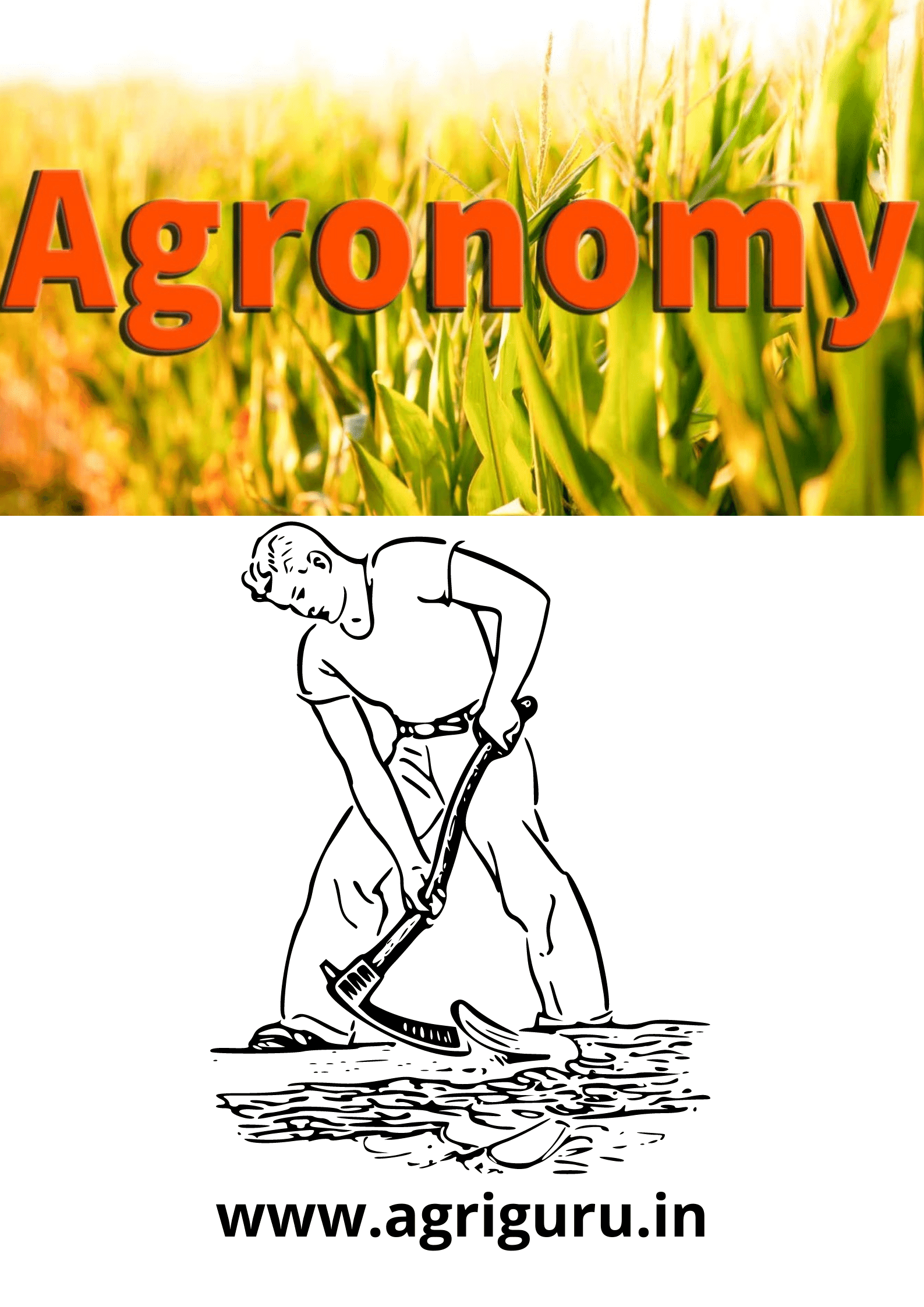 Agronomy One-liner For IBPS AFO Part 1st