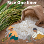 Rice One liner
