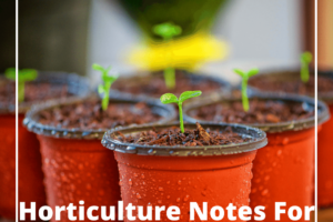 Horticulture Notes For IBPS AFO