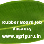 Rubber Board Job Vacancy