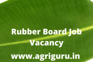 Rubber Board Job Vacancy