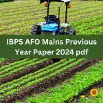IBPS AFO Mains Previous Year Paper 2024 pdf