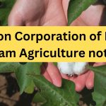 cotton Corporation of India Exam Agriculture notes