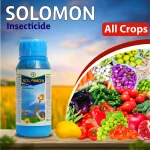 How to Use Solomon Insecticide?