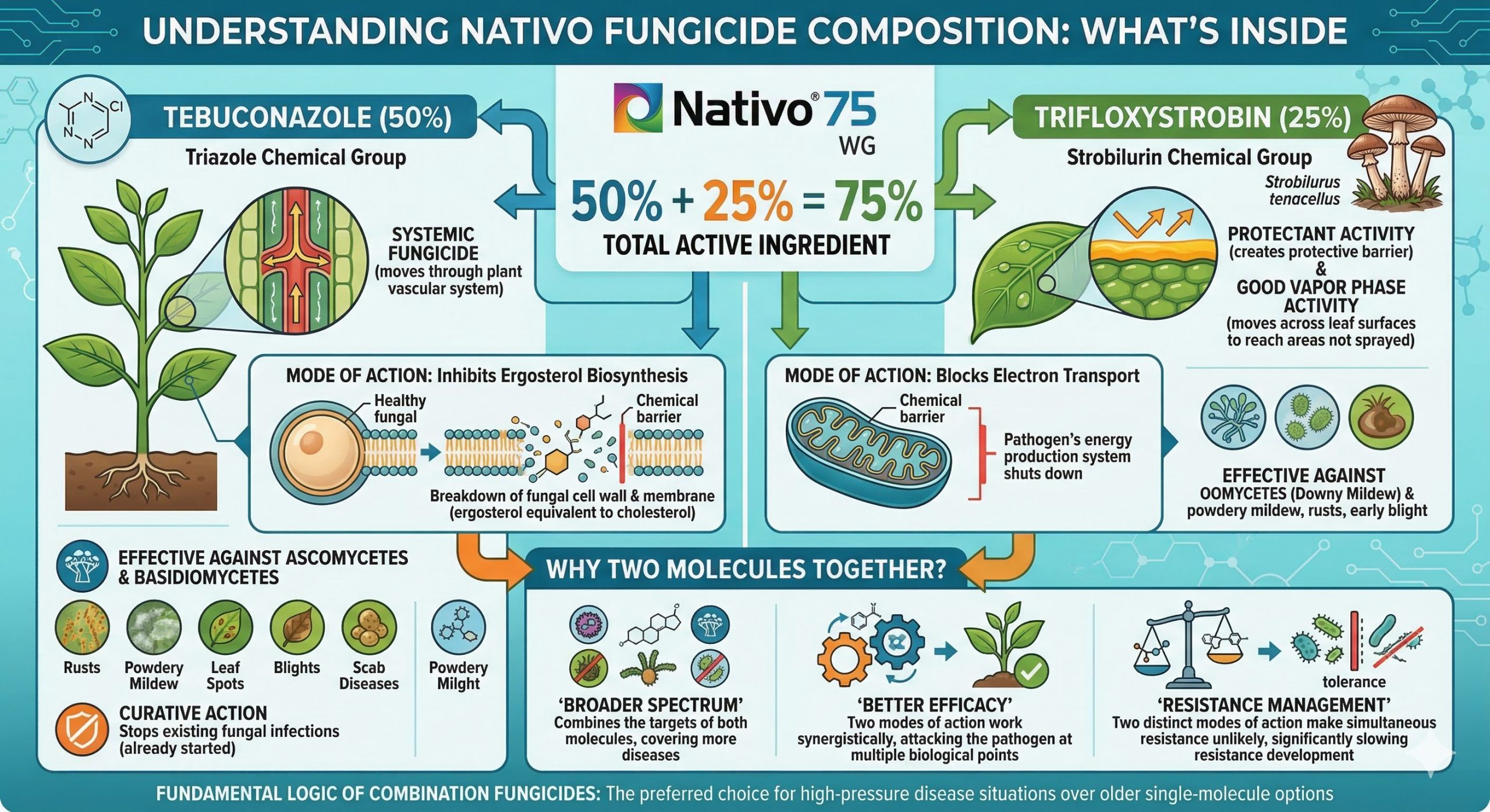 Nativo Fungicide Composition